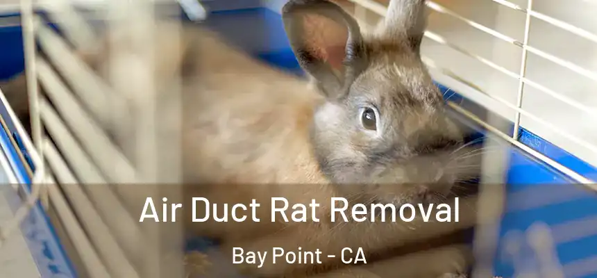  Air Duct Rat Removal Bay Point - CA