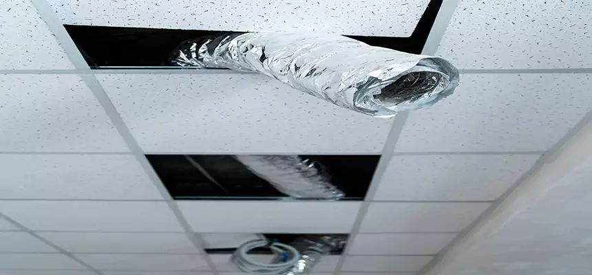 Our Air Duct Pet Hair Removal Services in Bay Point, CA