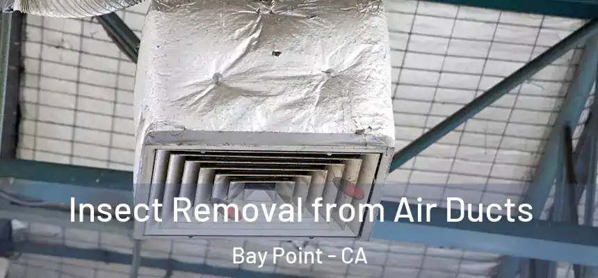 Insect Removal from Air Ducts Bay Point - CA
