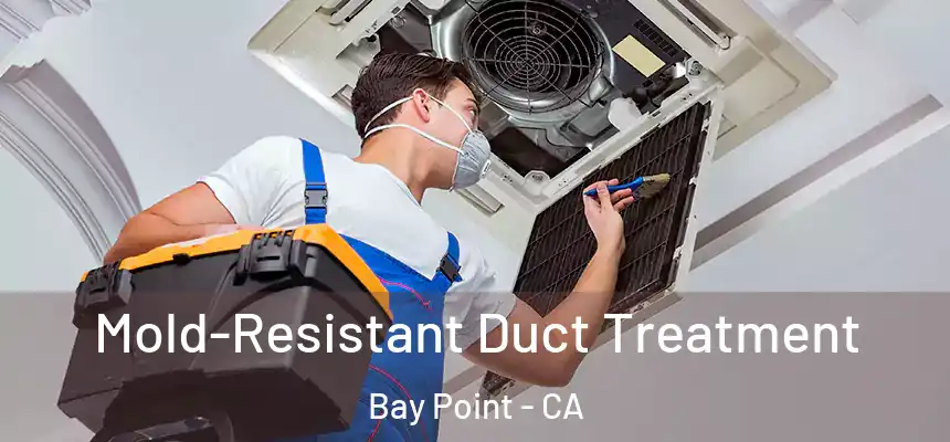  Mold-Resistant Duct Treatment Bay Point - CA