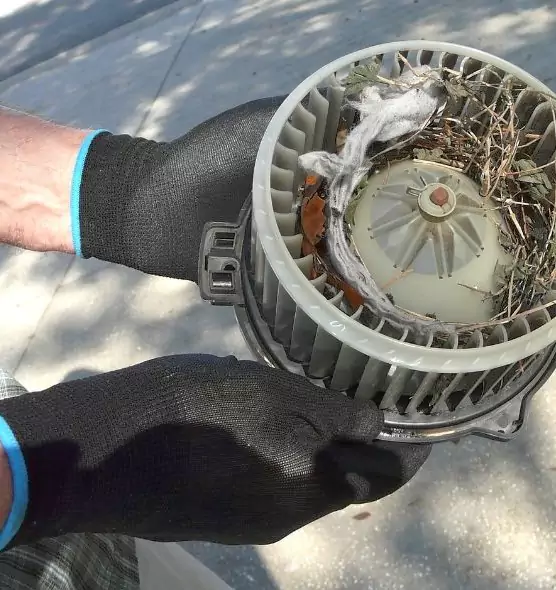 About Air Duct Rat Removal in Bay Point, CA