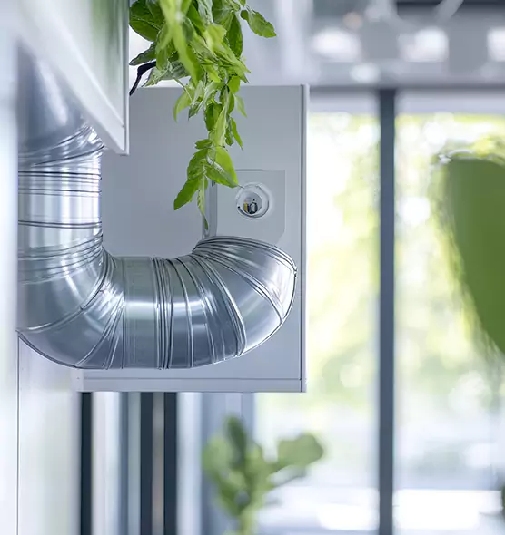 Professional Eco-Safe Dryer Vent Cleaning in Bay Point, CA