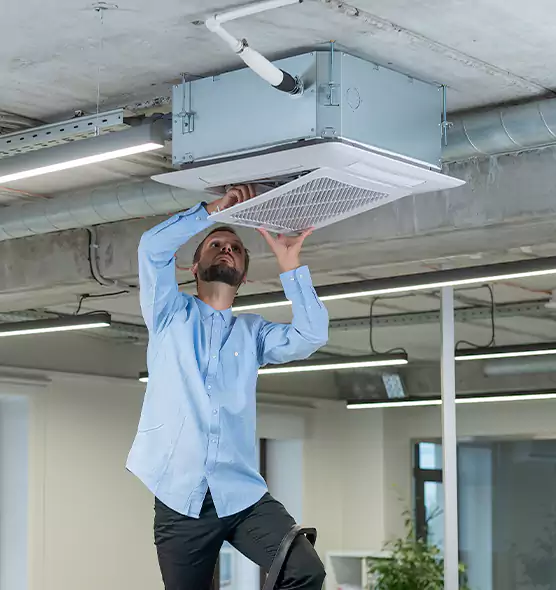 Advanced Rodent Droppings In Vents in Bay Point, CA
