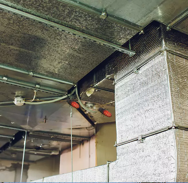 Why Homeowners & Businesses Trust Us in Bay Point, CA?