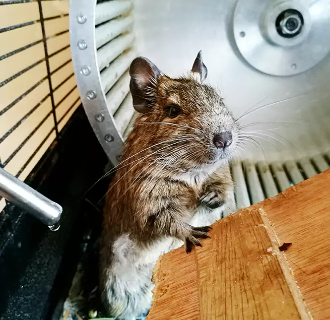 Why Homeowners & Businesses Trust Us Bay Point, CA