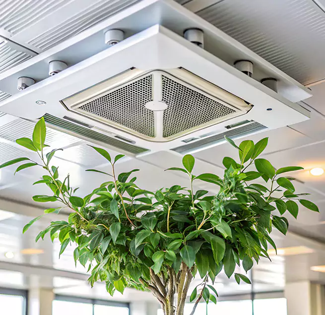 Why Homeowners & Businesses Trust Us in Bay Point, CA