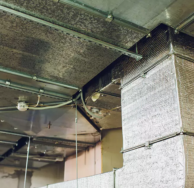 Why Homeowners & Businesses Trust Us in Bay Point, CA?